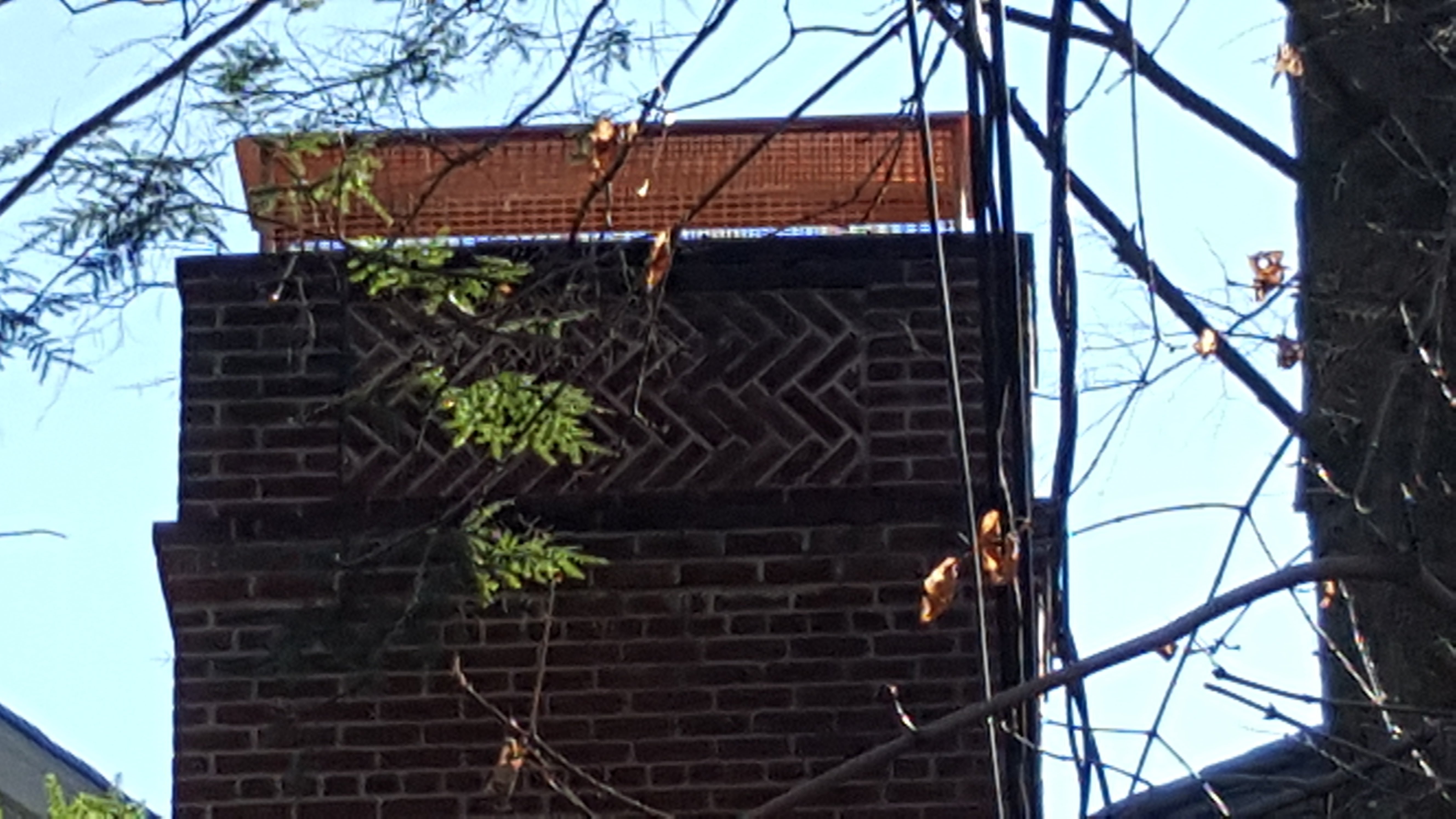 Animal-proof chimney cap protecting home in Roosevelt, New York